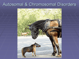Autosomal & Chromosomal Disorders
