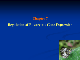 Gene Regulation of Eukaryotes
