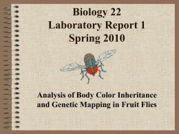 Biology 6B Laboratory Report II