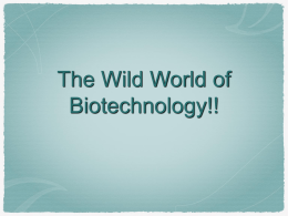 The Wild World of Biotechnology!! Applications Genetic