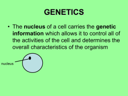 genetics - eduBuzz.org