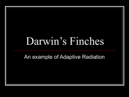 Darwin`s Finches - BioGeoWiki-4ESO