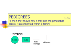 PEDIGREES *a chart that shows how a trait and the genes that