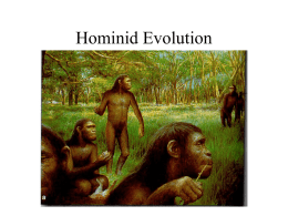 Human Evolution Power Point