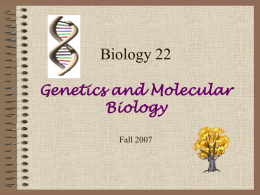 Corn Genetics - Faculty Homepages (homepage.smc.edu)