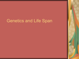 Genetics and LifeSpan - Santa Barbara Therapist