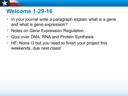 Gene Regulation and Expression Notes