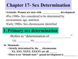 Chapter 17- Sex Determination