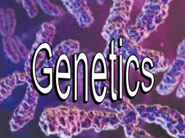 how to succeed in genetics problem-solving