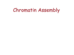 Chromatin Assembly12