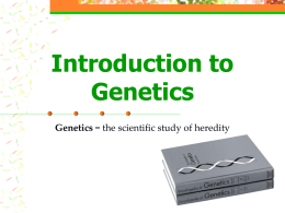 File 1-intro to genetics 2012 ppt