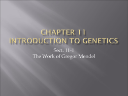 Chapter 11 Introduction To Genetics