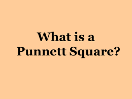 What is a punnett square