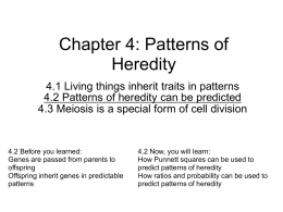 4.2 Patterns of heredity can be predicted