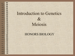 Intor to Genetics n Meiosis