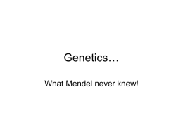 Genetics…
