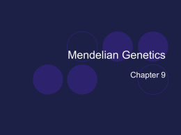 Unit 6: Mendelian Genetics