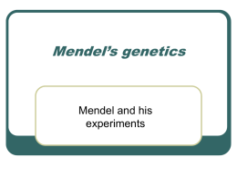 Mendel`s genetics