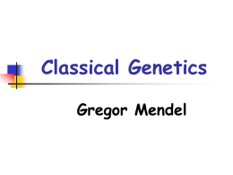 Genetics Review - Biology Junction