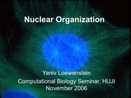 Nuclear Organization