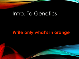 iNTRO TO GENETICS PowerPoint