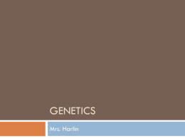 File - Mrs. Harlin`s Website