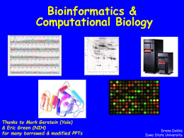 Document Here - What is BioInformatics?