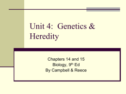 Unit 4: Genetics & Heredity