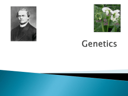 Genetics - smithlhhsb121