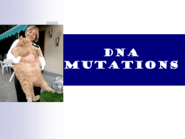 DNA Mutations - U