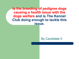 Is the breeding of pedigree causing a health issue with the dogs