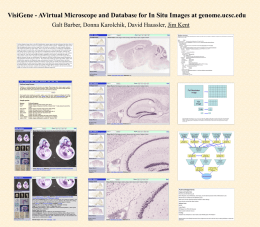 VisiGene - A Virtual Microscope and Database for In Situ Images