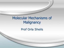 3rd-years-molecular-mechanisms-of