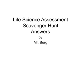 Life Science Assessment Scavenger Hunt Answers