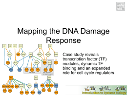 Mapping the DNA Damage Response