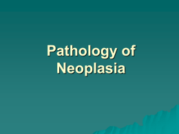 Pathology of Neoplasia