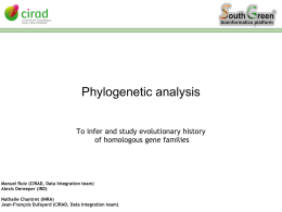 phylogeny orthologous prediction