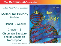 Chapter 13 Lecture PowerPoint - McGraw Hill Higher Education