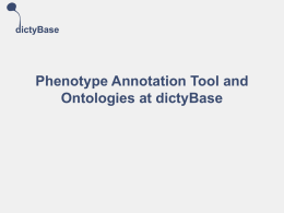 Phenotype Curation Tool and Ontologies at dictyBase
