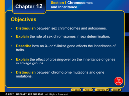 Section 1 Chromosomes and Inheritance