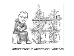 2 Intro to Mendelian Genetics 2013