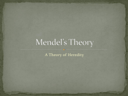 Mendel`s Theory