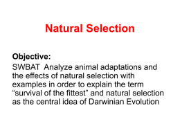 Natural Selection PPT