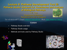 Pathway Generation Tool III - BIDD