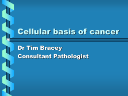 Cellular basis of cancer