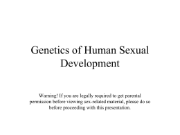 Genetics of Human Sexual Development