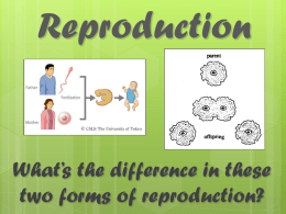 Asexual & Sexual Reproduction