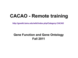 CACAO_remote_training