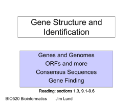 8:Genes