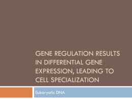Gene Regulation results in differential Gene Expression, leading to